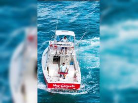 Charter Image