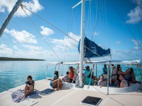 A lively group enjoys a day on a catamaran, soaking up the sun and the beautiful waters — perfect for a fun-filled adventure on the sea.