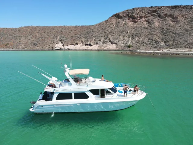 Listing image 1123985