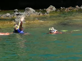 Two snorkelers enjoy a vibrant underwater adventure, showcasing the beauty of marine life in clear waters. Perfect for family outings and aquatic exploration.