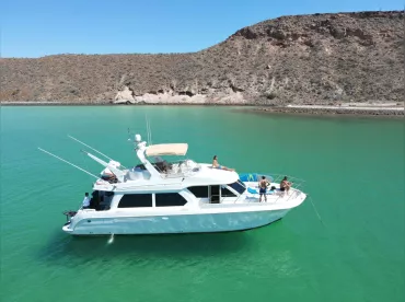 Baja Discovery Tours
