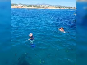Two snorkelers explore the vibrant underwater world, surrounded by colorful fish in crystal-clear waters — a perfect adventure for marine enthusiasts.