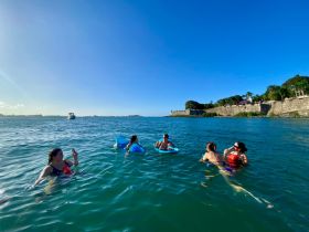 A lively group enjoys a refreshing swim in clear waters, with a boat in the background, perfect for a fun day out on the water.