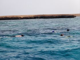 A group of snorkelers explores the vibrant underwater world in clear blue waters, showcasing the excitement of ocean adventures.