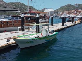A vibrant fishing boat named 'Chikiti' docked at a marina, showcasing its colorful design against a scenic backdrop of hills and other vessels.