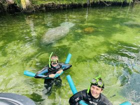 Two young snorkelers enjoy a close encounter with a manatee in clear waters, showcasing a unique wildlife experience in a natural setting.