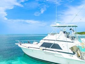 A beautiful yacht cruising through crystal-clear waters under a bright blue sky, perfect for a day of adventure on the ocean.