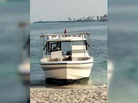 A rental boat is docked on the beach, showcasing its sleek design and inviting atmosphere — perfect for a day of exploration on the water.