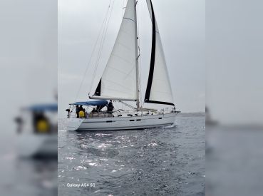 Viper Charters