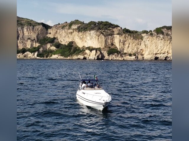 Listing image 1165828