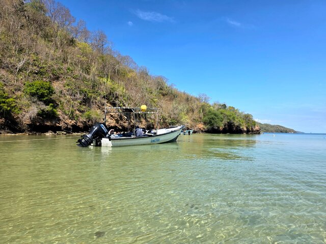 Listing image 1156958