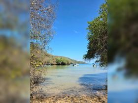 A serene view of a calm bay with boats anchored and people enjoying the water, surrounded by lush greenery and clear blue skies.