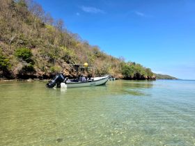 A serene view of a boat anchored in clear waters, surrounded by lush greenery, perfect for exploring coastal landscapes.