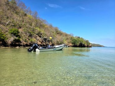 Reel Nutz Charters