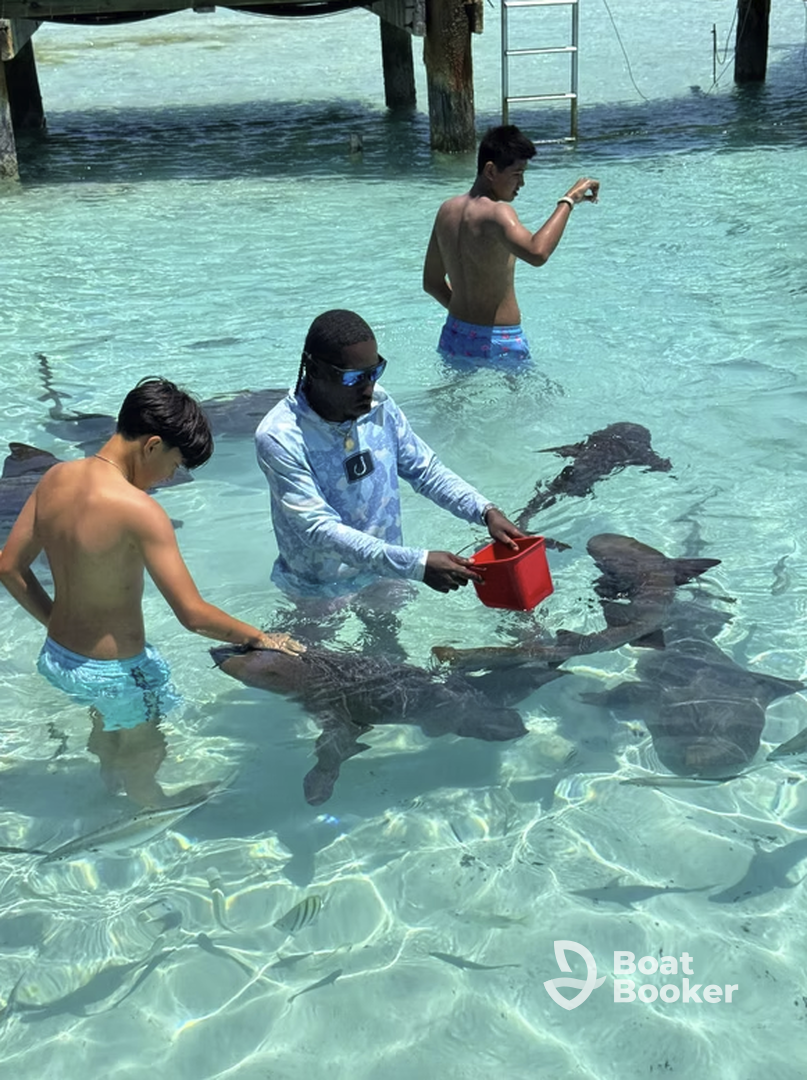 Ellygant Tours and Charters