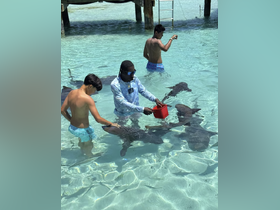 Charter Image