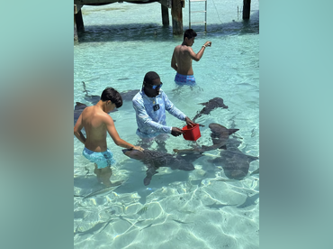 Ellygant Tours and Charters