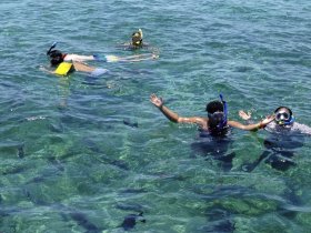 A lively group enjoys snorkeling in crystal-clear waters, showcasing the excitement of underwater exploration and marine life encounters.