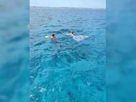 Two individuals enjoy snorkeling in the crystal-clear waters, showcasing the vibrant marine life and perfect conditions for underwater exploration.
