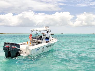 Waves Splitter Charters