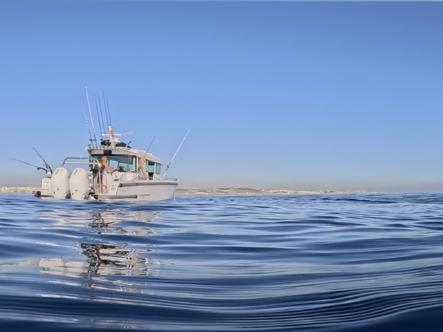 Listing image 1124008