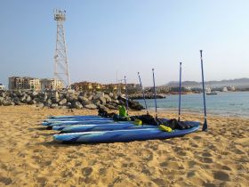 A row of paddleboards lined up on the sandy beach, ready for water activities — perfect for a day of fun in the sun.