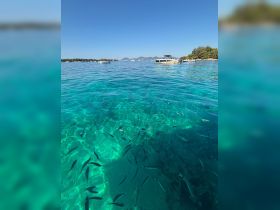 A stunning view of clear turquoise waters teeming with fish, showcasing the beauty of underwater life in a picturesque boating destination.