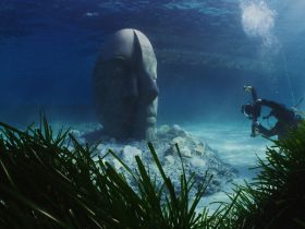 A diver captures the stunning underwater sculpture of a face, surrounded by vibrant marine grass — a unique exploration experience for diving enthusiasts.