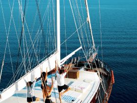 A group participates in a yoga session on the deck of a boat, surrounded by serene ocean views — an ideal setting for wellness retreats at sea.