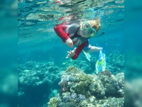 A child snorkels above vibrant coral reefs, showcasing the beauty of underwater exploration and marine life — a perfect family adventure in tropical waters.