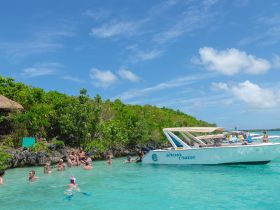 A lively group enjoys a sandbar stop, swimming in clear turquoise waters alongside the 'Sirena Cruise' boat — perfect for a fun day out on the water.