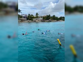 A lively group enjoys snorkeling in the crystal-clear waters, showcasing a fun aquatic adventure perfect for families and friends.