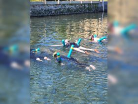 A group of snorkelers enjoys exploring the clear waters, showcasing the fun and adventure of underwater activities.