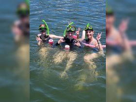 A fun group enjoys snorkeling in the water, showcasing a perfect day of aquatic adventure and family bonding.