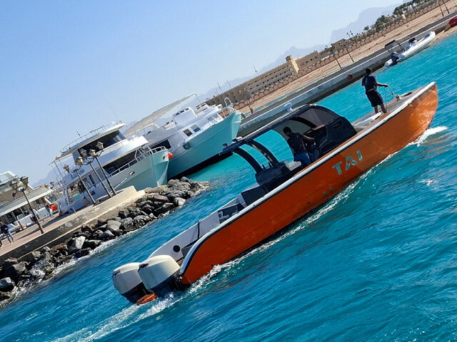 Listing image 1123786