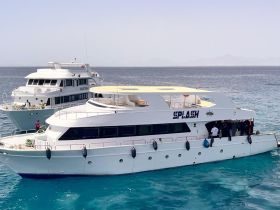 Charter Image