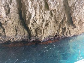 An unclear view of a rocky shoreline with water, lacking identifiable features or subjects.