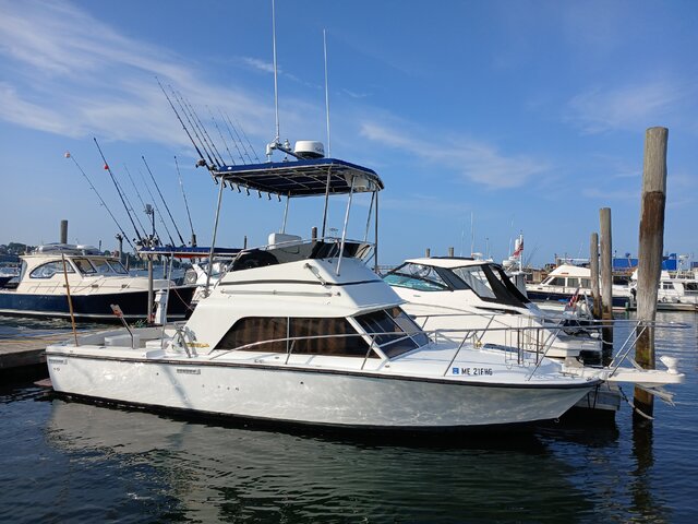 Listing image 1124105