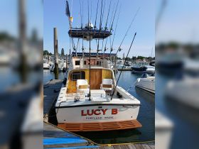 The 'Lucy B' boat is docked at the marina, showcasing its fishing gear and spacious rear deck, perfect for fishing enthusiasts.