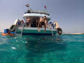 A lively scene of guests enjoying a day on the water, with one person diving off the boat while others swim nearby — perfect for snorkeling adventures and family fun.