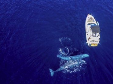 Sea Brothers Charters – Local Boy