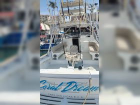 Interior view of the 'Coral Dream' boat in Cabo San Lucas, showcasing comfortable seating and a well-equipped helm, perfect for fishing adventures.