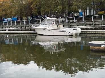 Fish The Potomac
