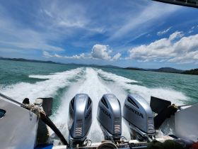 A dynamic view from the back of a speedboat, showcasing powerful Honda engines as it cuts through turquoise waters, perfect for thrilling adventures on the open sea.