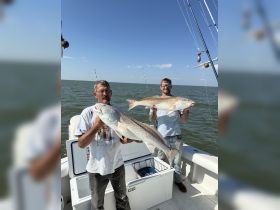 Two anglers proudly display their impressive catch while fishing on a boat, showcasing the thrill of a successful day on the water.