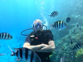 A diver poses underwater surrounded by vibrant fish, showcasing the beauty of marine life during an unforgettable diving experience.