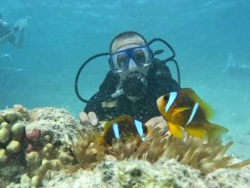A diver interacts with vibrant clownfish amidst coral, showcasing the beauty of underwater life during a scuba diving adventure.
