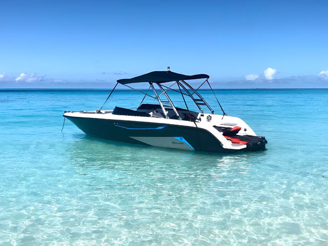 Listing image 1124603