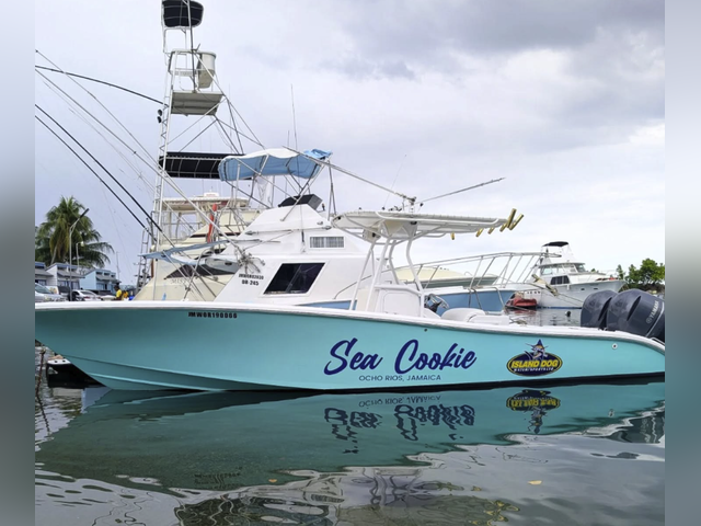 Listing image 1132051