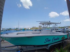 A vibrant speedboat named 'Sea Coolie' docked at a marina in Ocho Rios, Jamaica, showcasing its sleek design against a backdrop of clear blue skies and other vessels.
